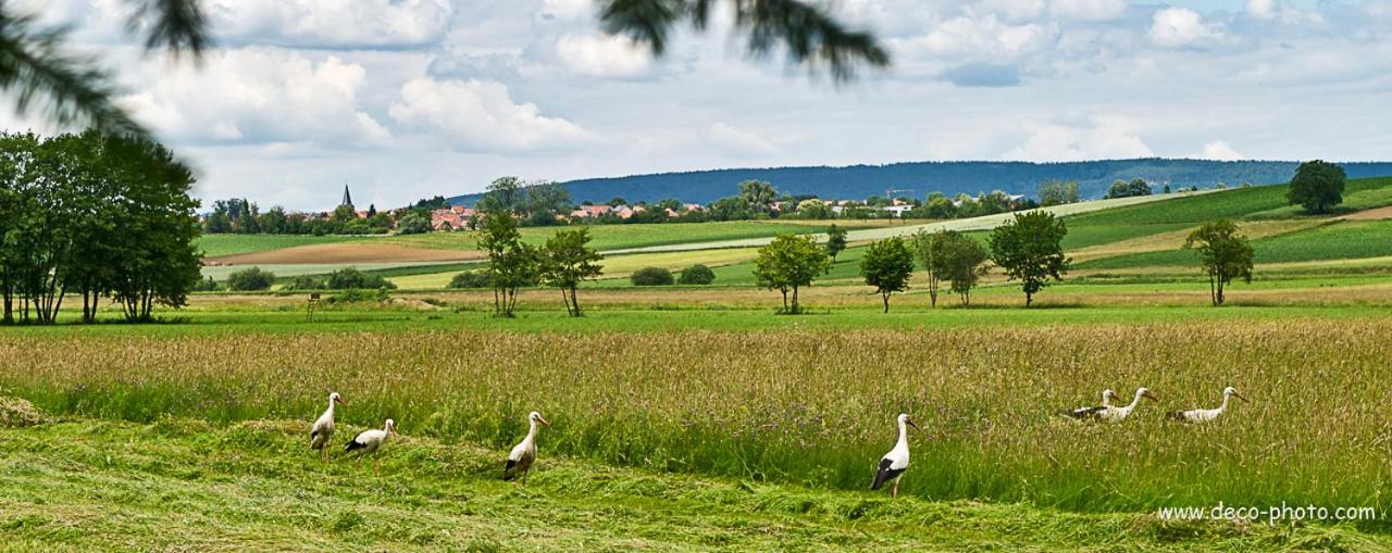 Gite L'Amarante Betschdorf ภายนอก รูปภาพ
