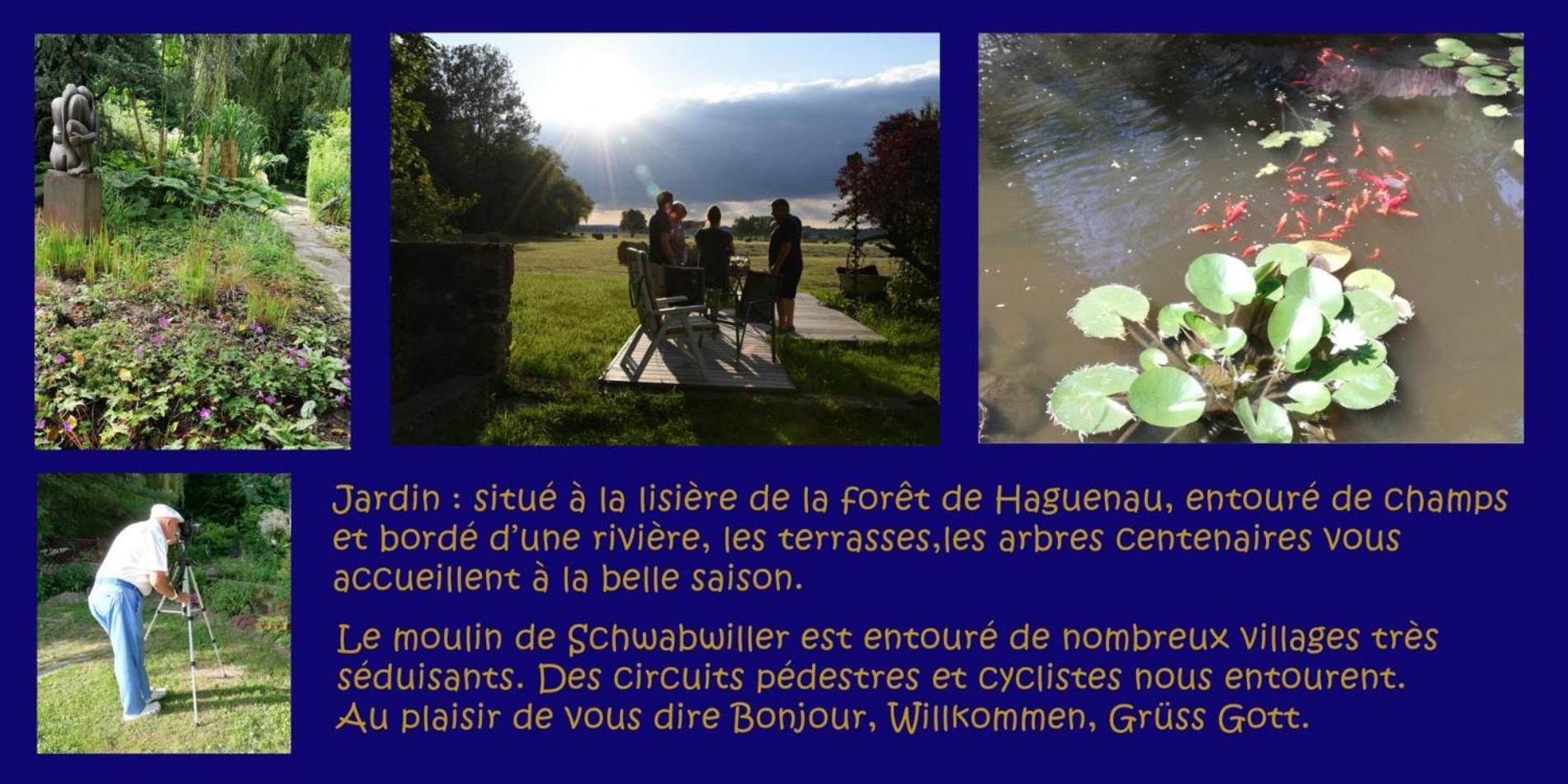 Gite L'Amarante Betschdorf ภายนอก รูปภาพ